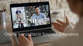 Online konzultáció Szerető Emesével